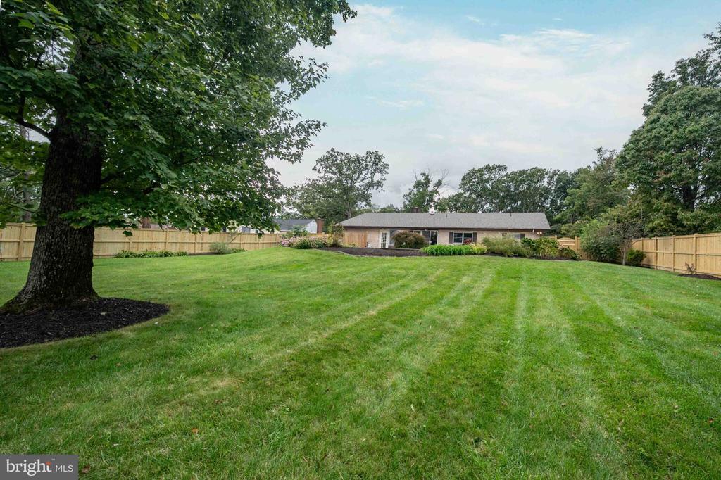 Broad fenced backyard with a large shade tree and a single-story house beyond the lawn.
