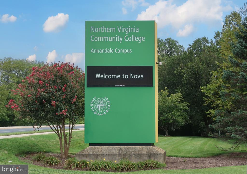 Northern Virginia Community College Annandale Campus sign beside a lawn and flowering tree.