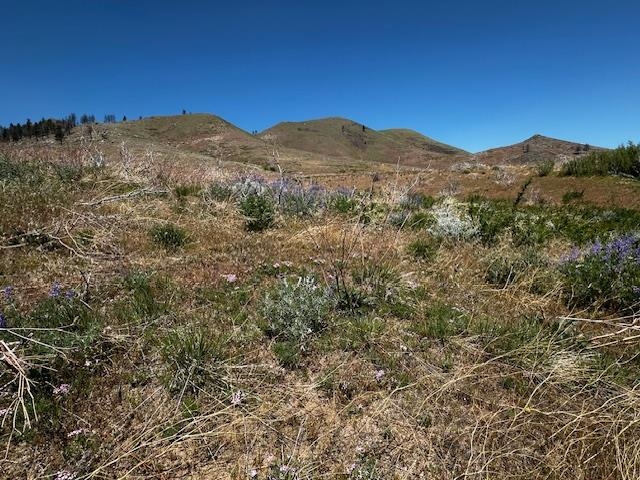 746-205 Old Indian Trail Road