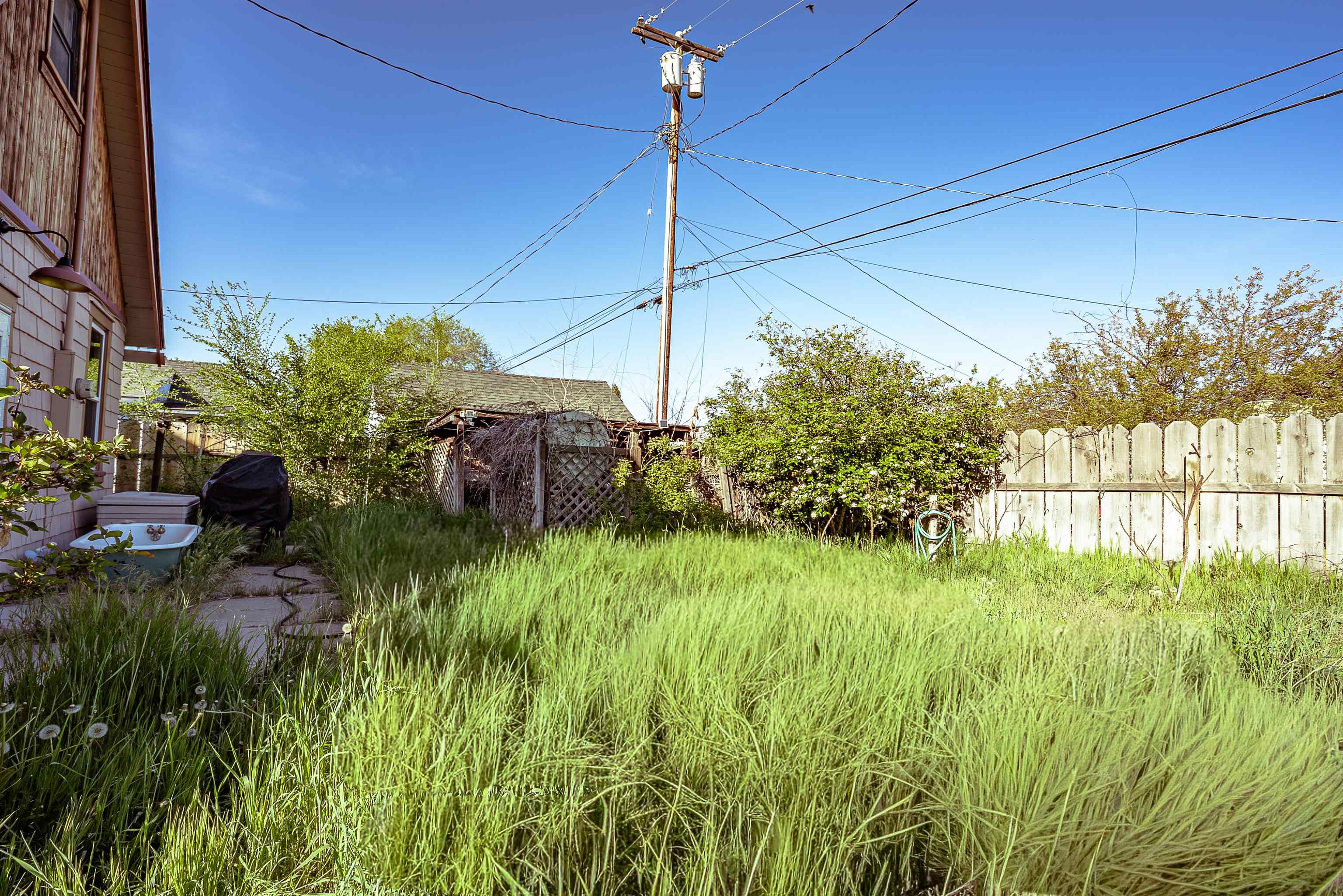 Overgrown backyard with tall grass, shrubs, and a wooden fence beside the house.