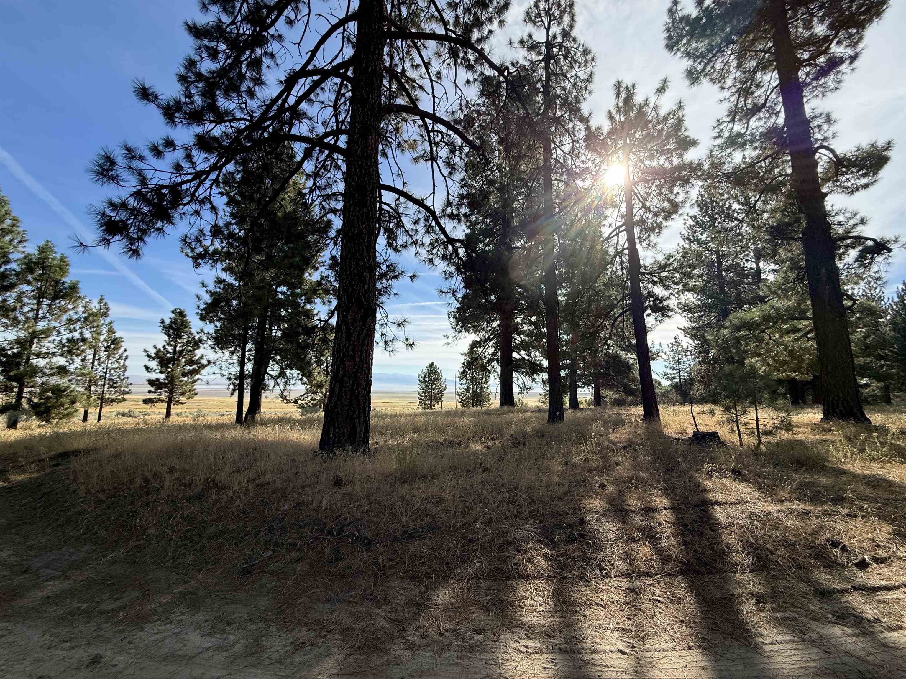 458-065 Highway 395