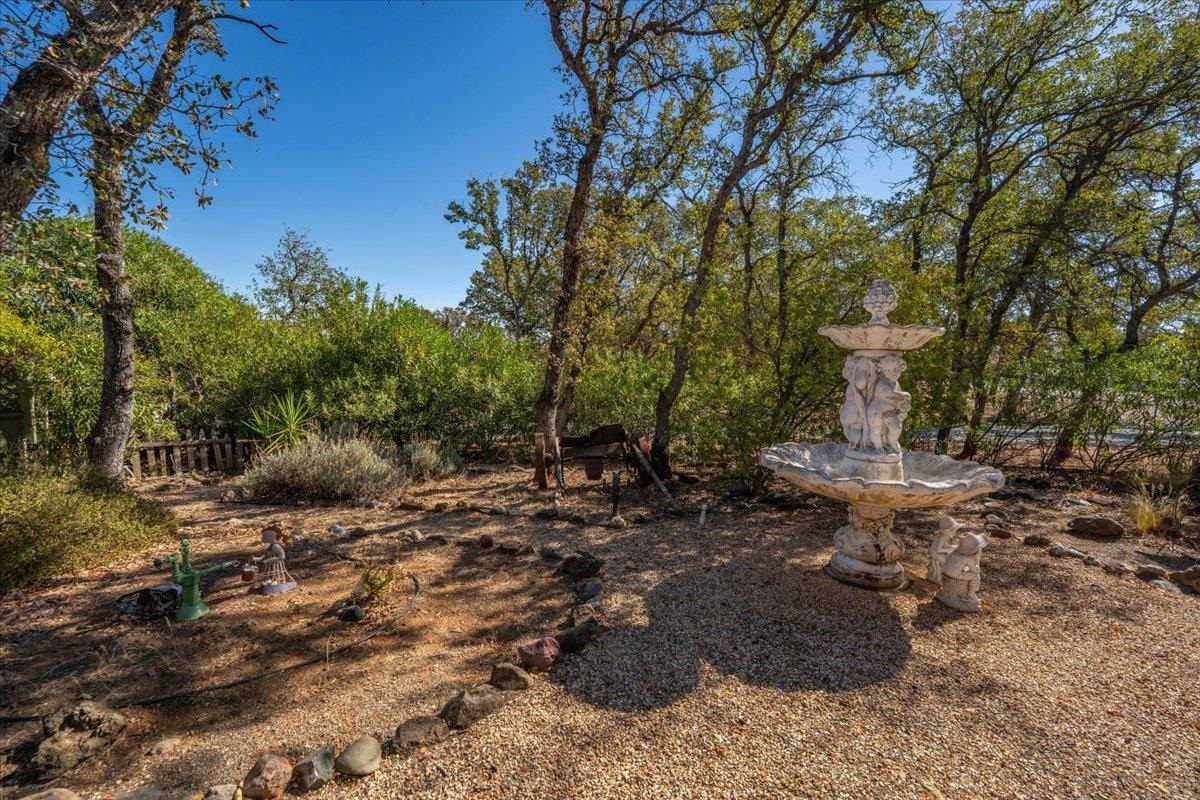 21340 Wilcox Road