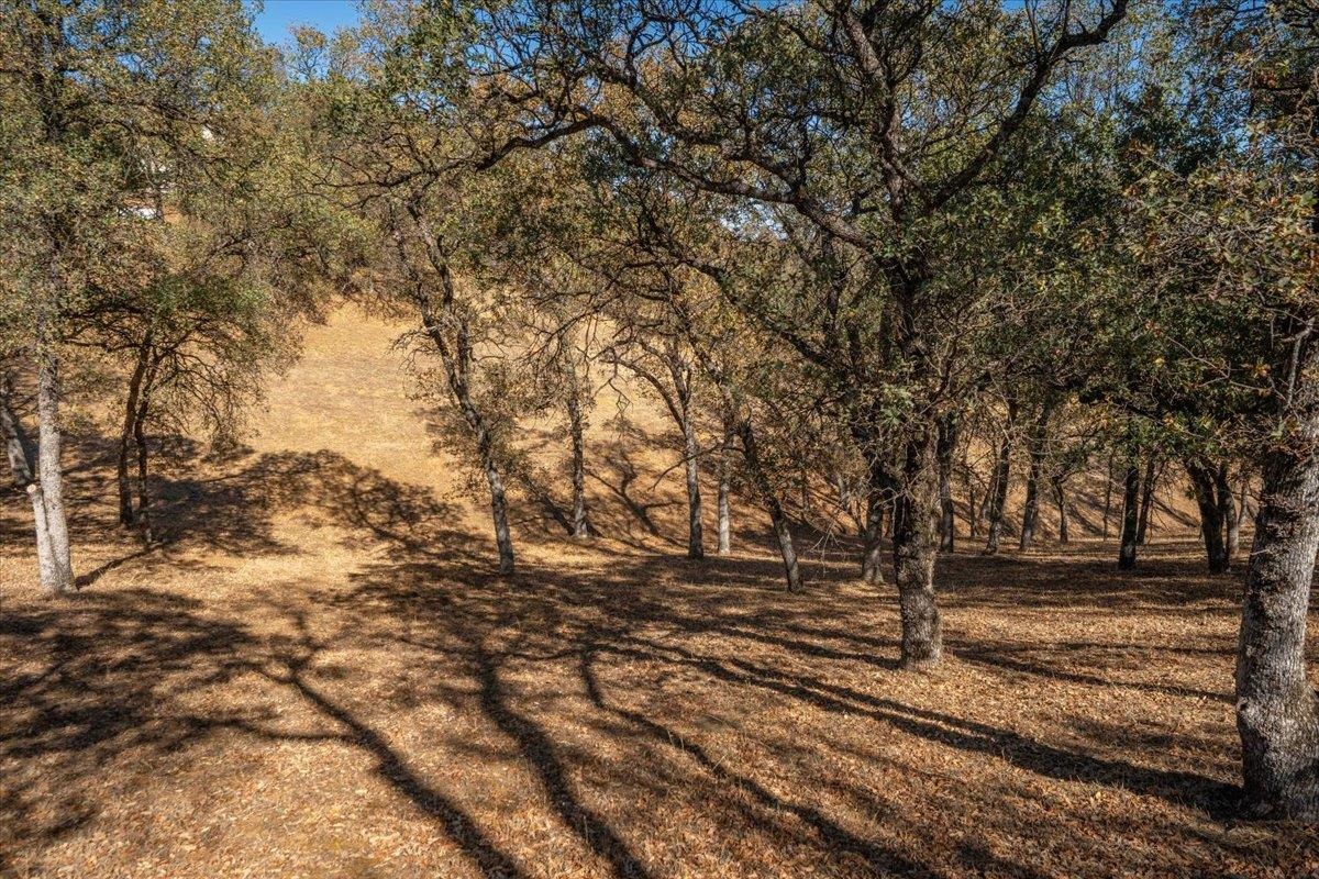 21340 Wilcox Road