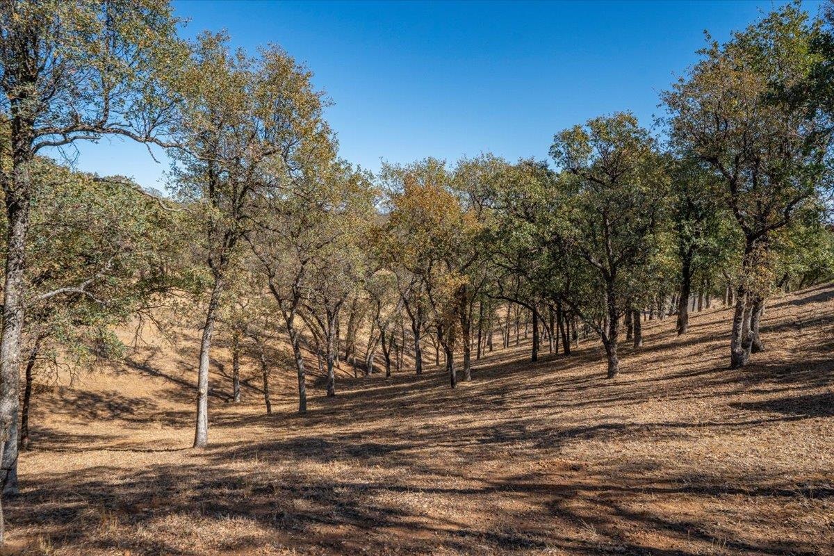 21340 Wilcox Road
