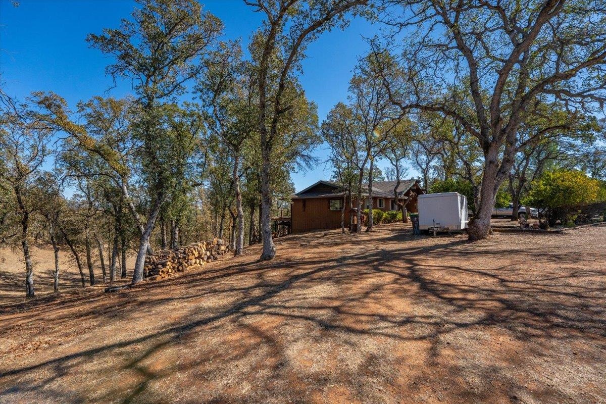 21340 Wilcox Road