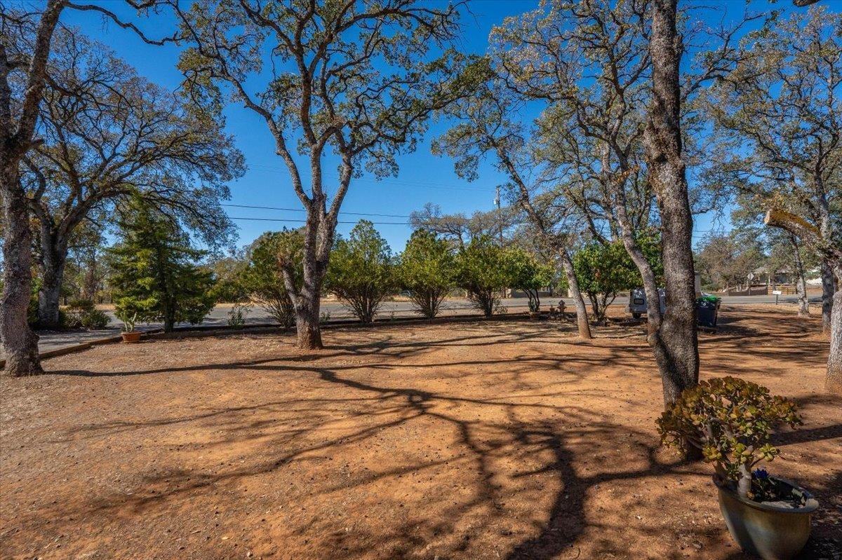 21340 Wilcox Road