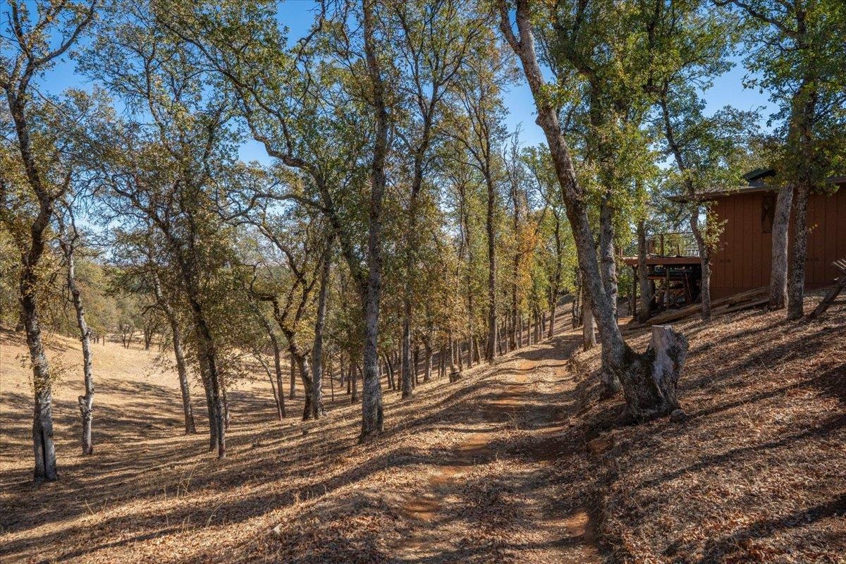 21340 Wilcox Road