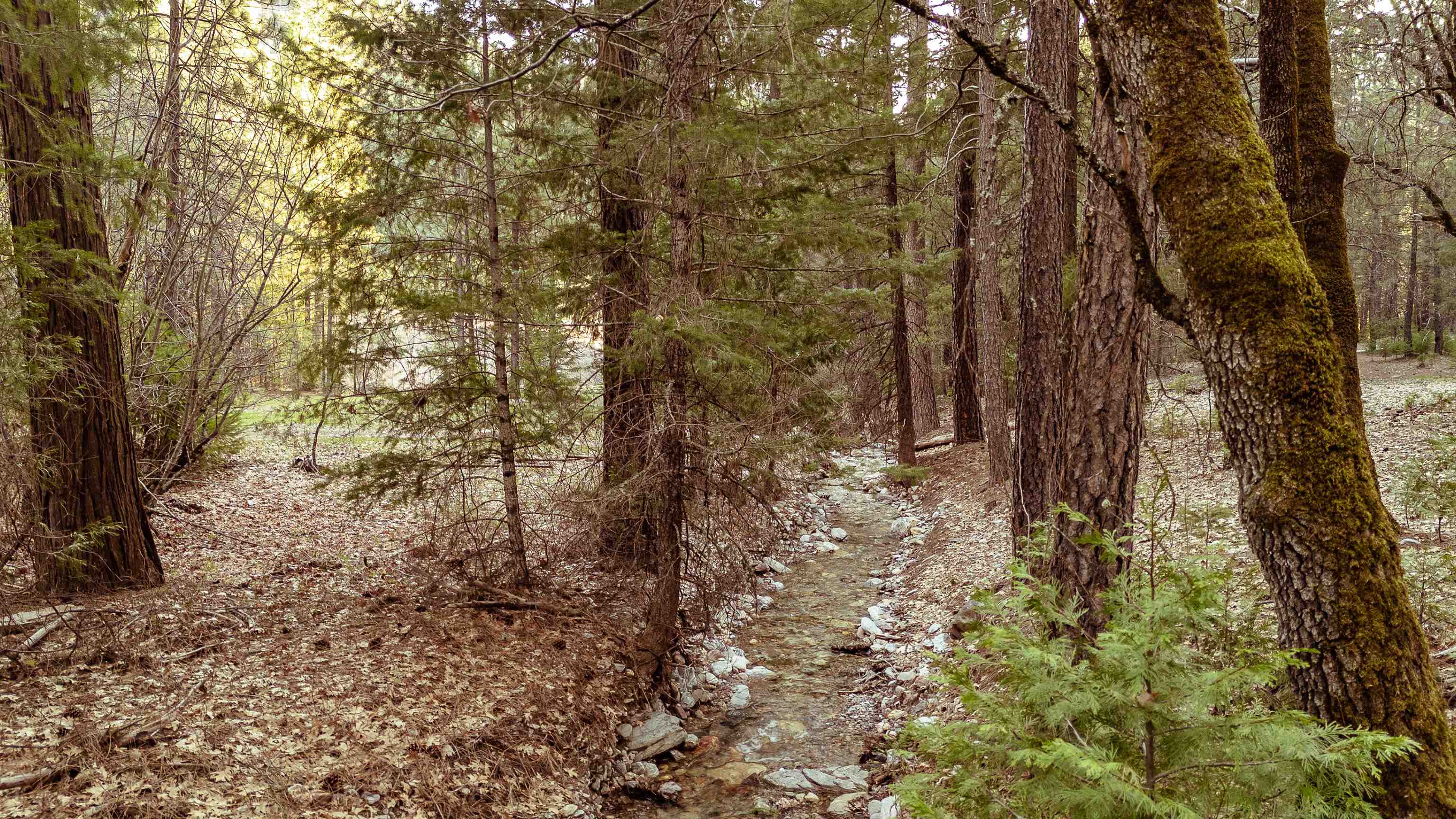 130 Butterfly Valley Twain Road