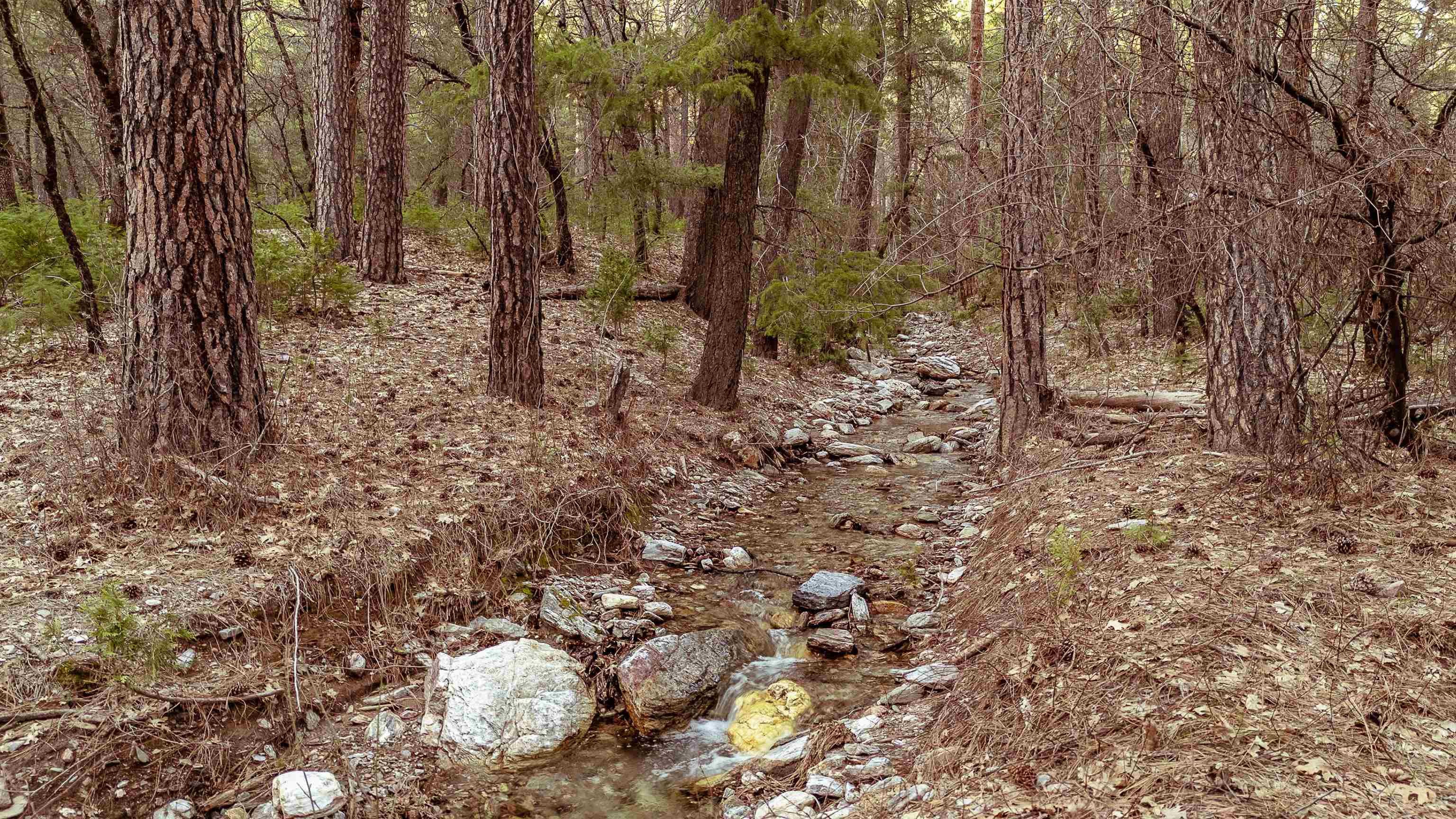 130 Butterfly Valley Twain Road