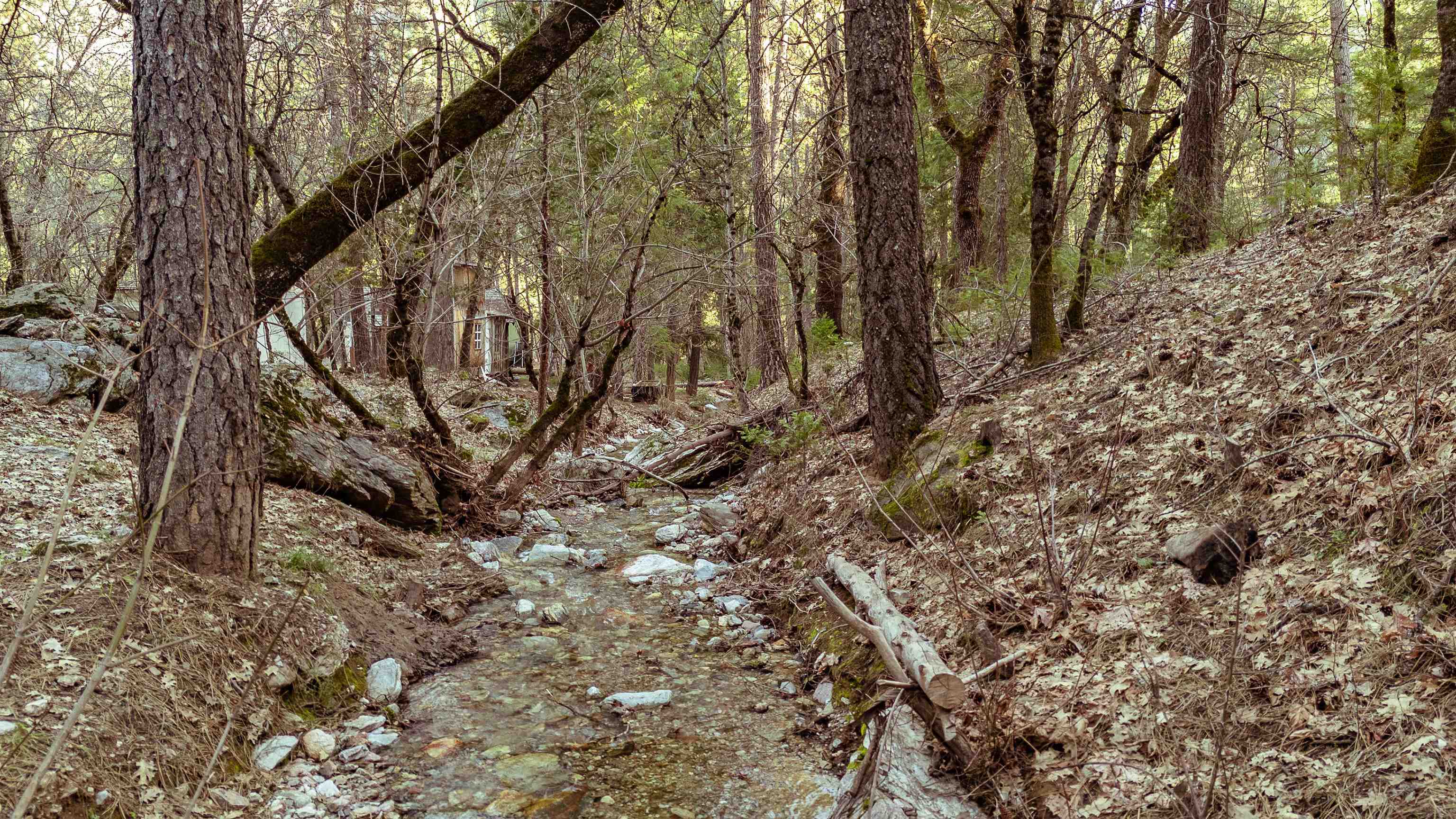 130 Butterfly Valley Twain Road