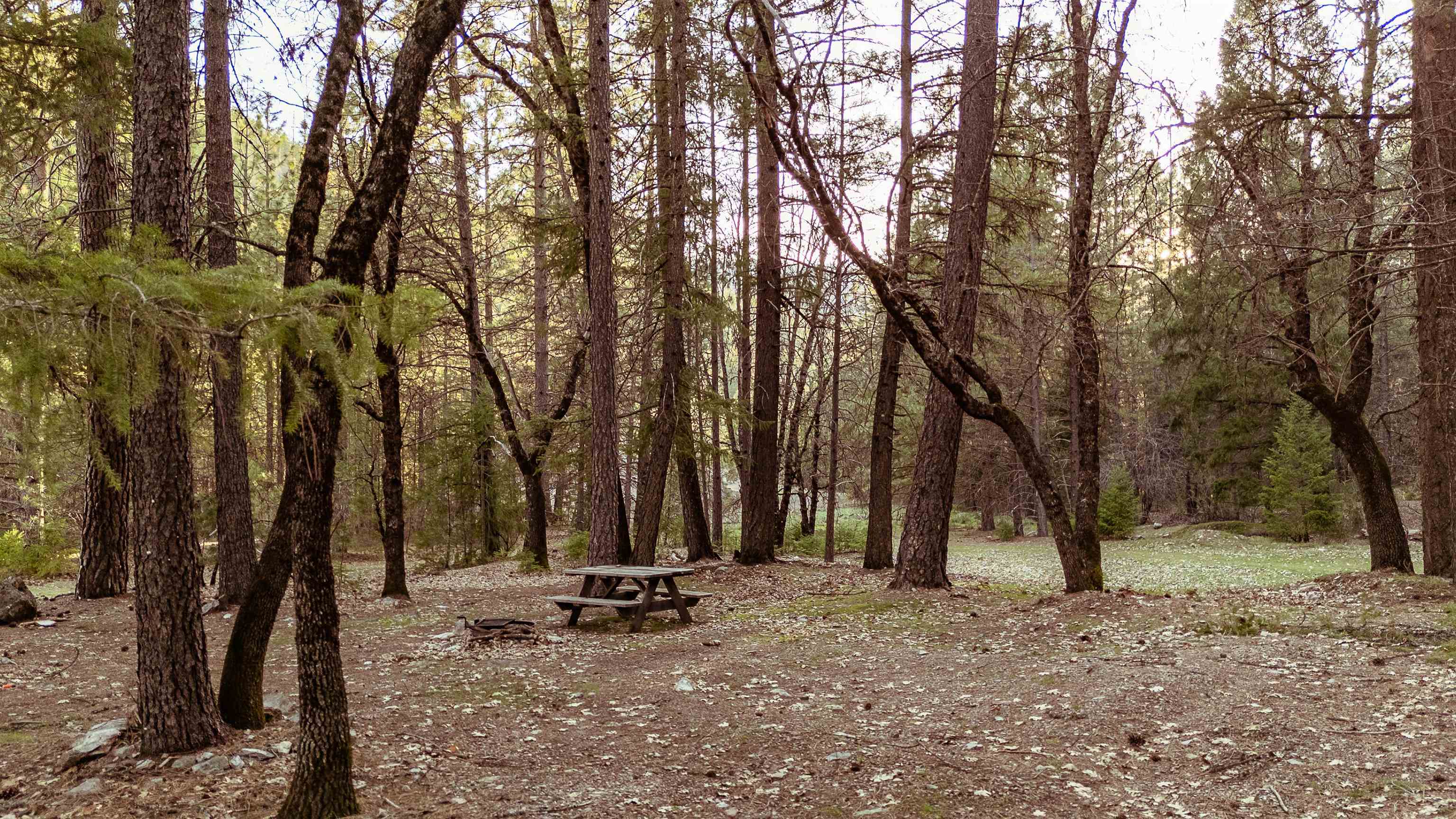 130 Butterfly Valley Twain Road