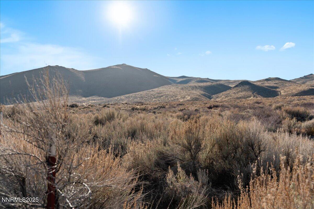 10705 Silver Spur Drive