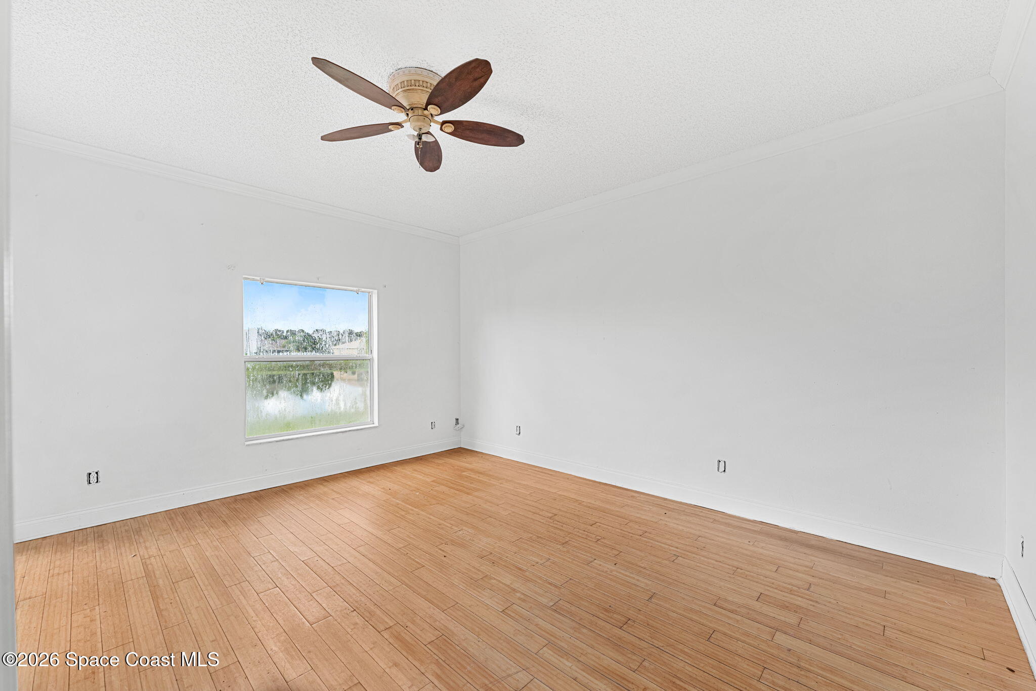 5313 Yaupon Holly Drive
