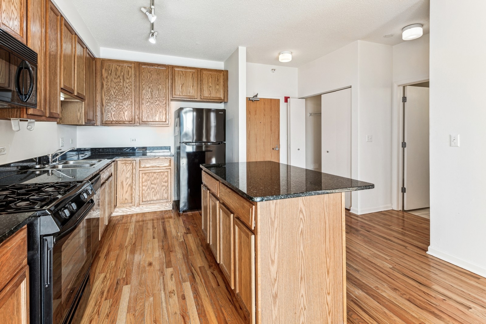 1717 S PRAIRIE Avenue Unit: 1509