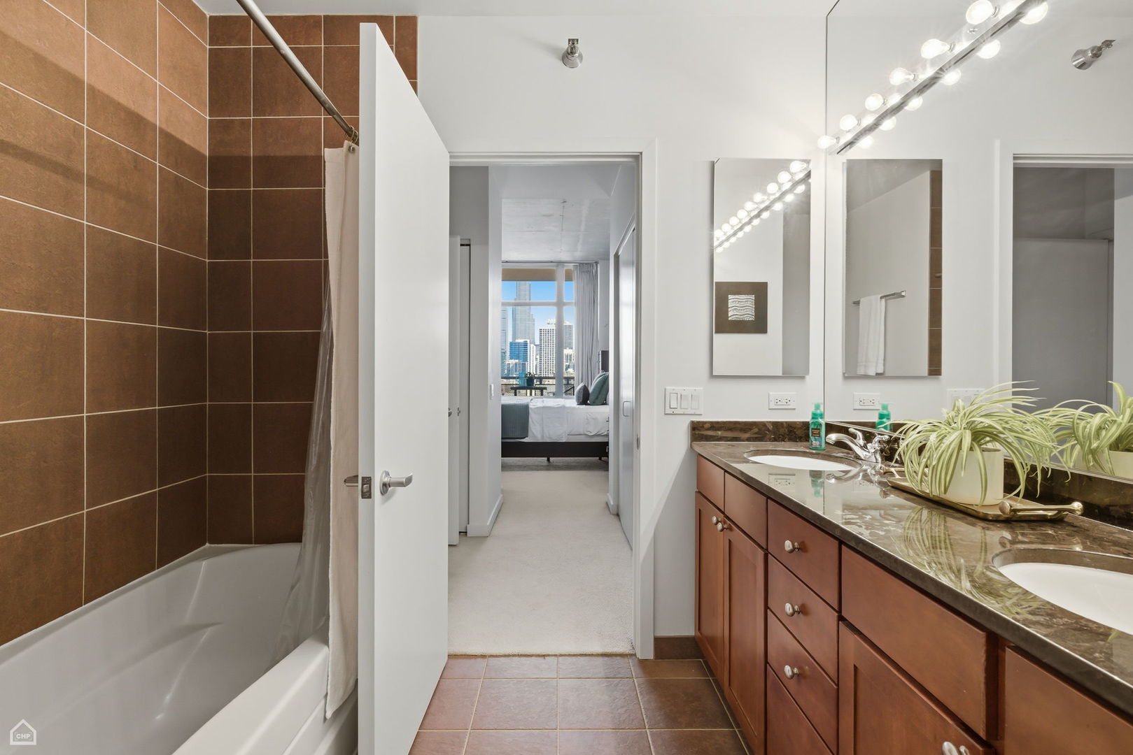 720 N Larrabee Street Unit: 1206