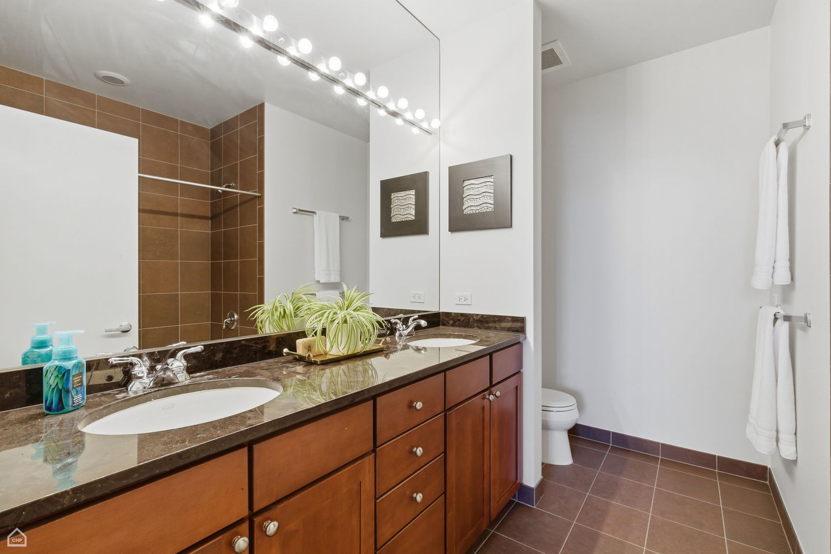720 N Larrabee Street Unit: 1206