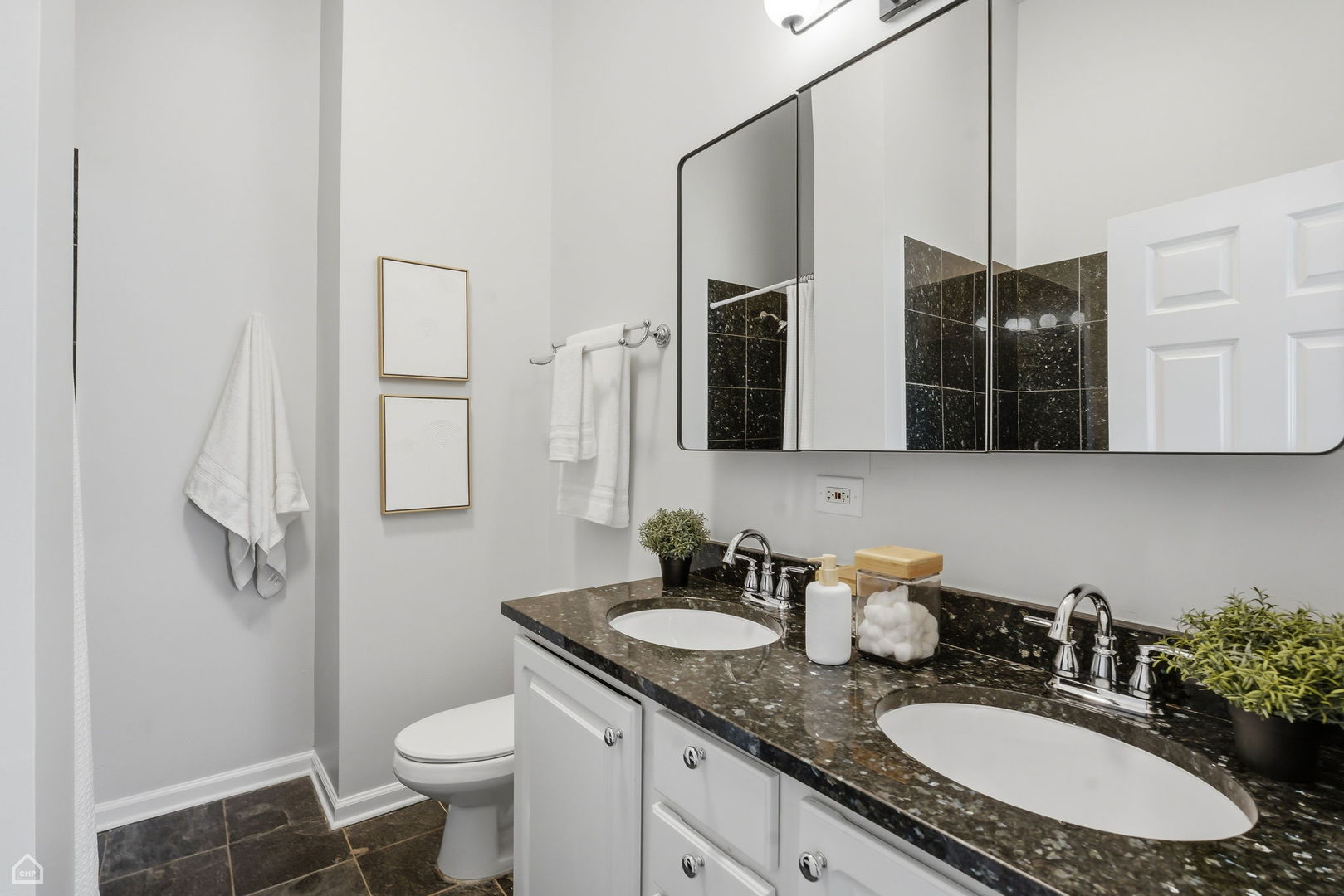 1012 W Diversey Parkway Unit: 3