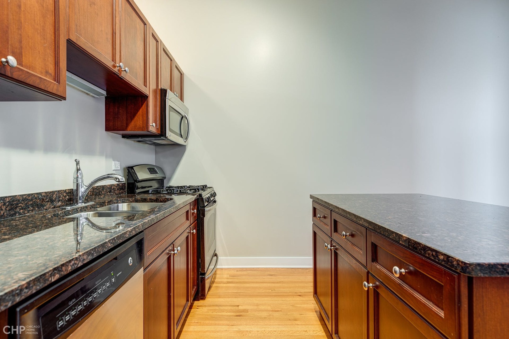 2 S Leavitt Street Unit: 308