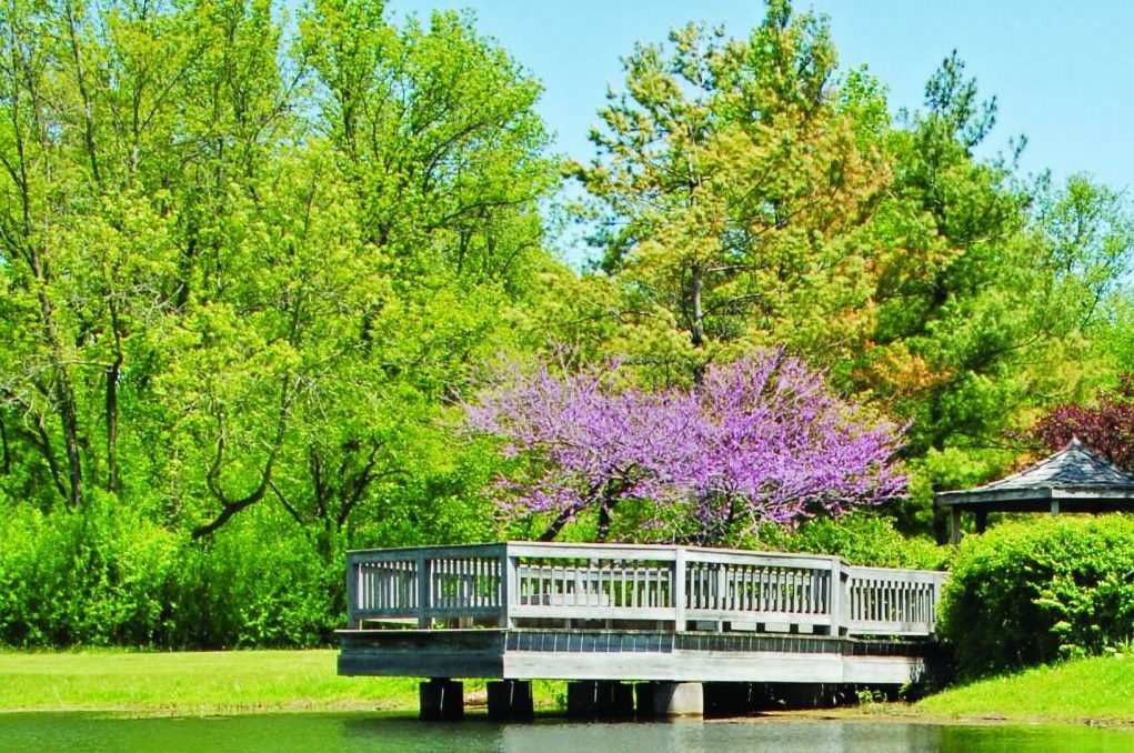 2944 Greenwood Avenue