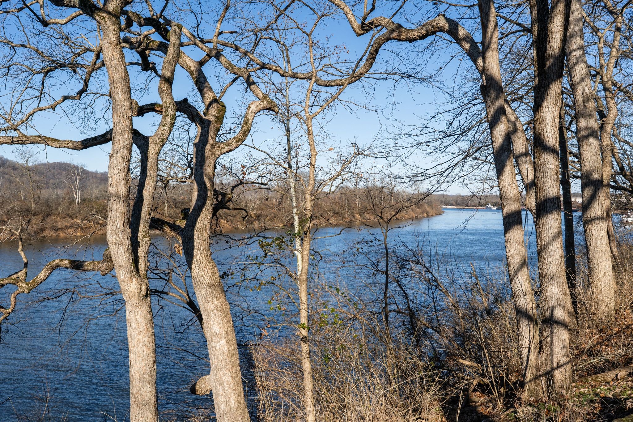 515 Basswood Ave Unit: 77