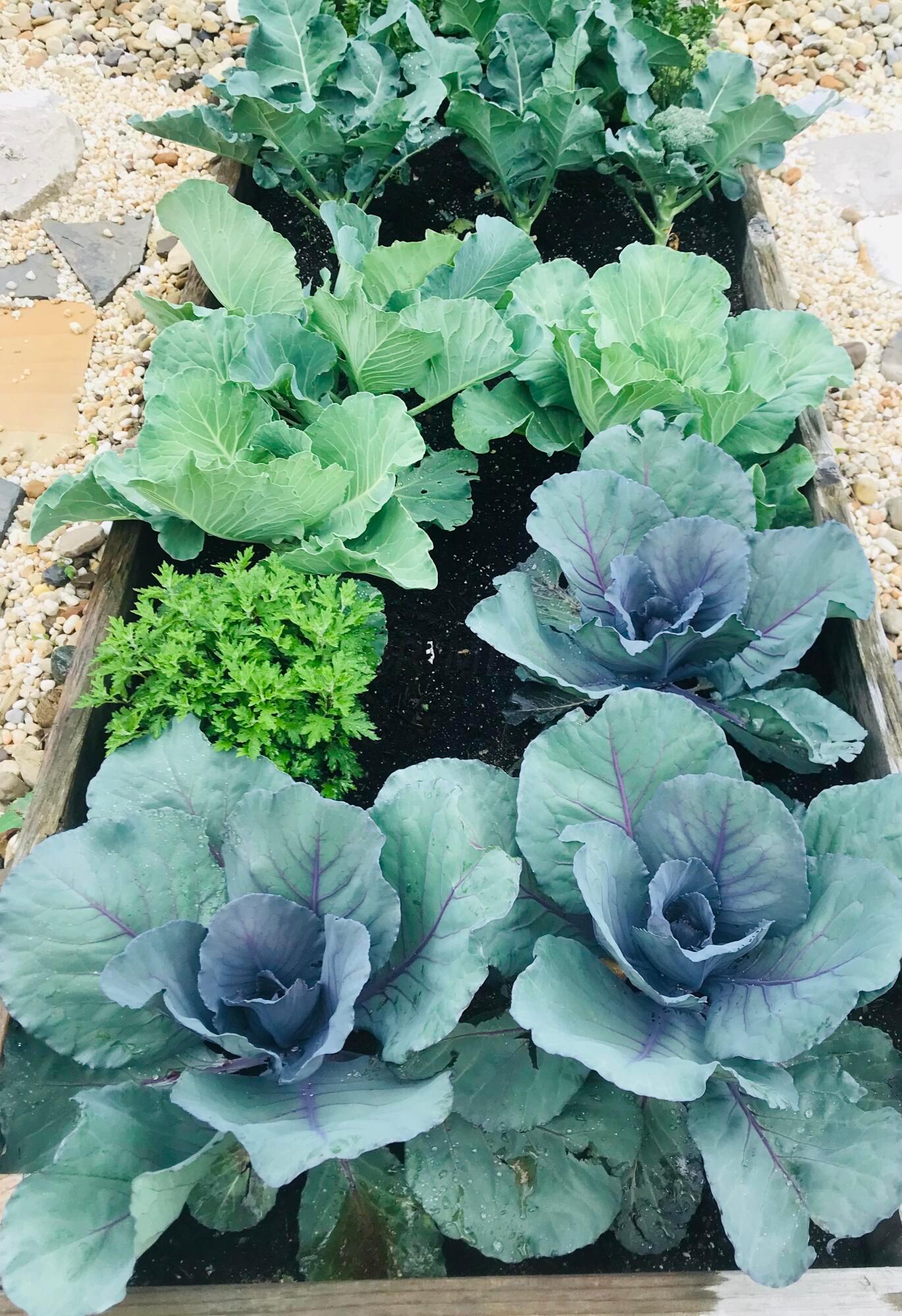 5750 Summer Ridge Lane