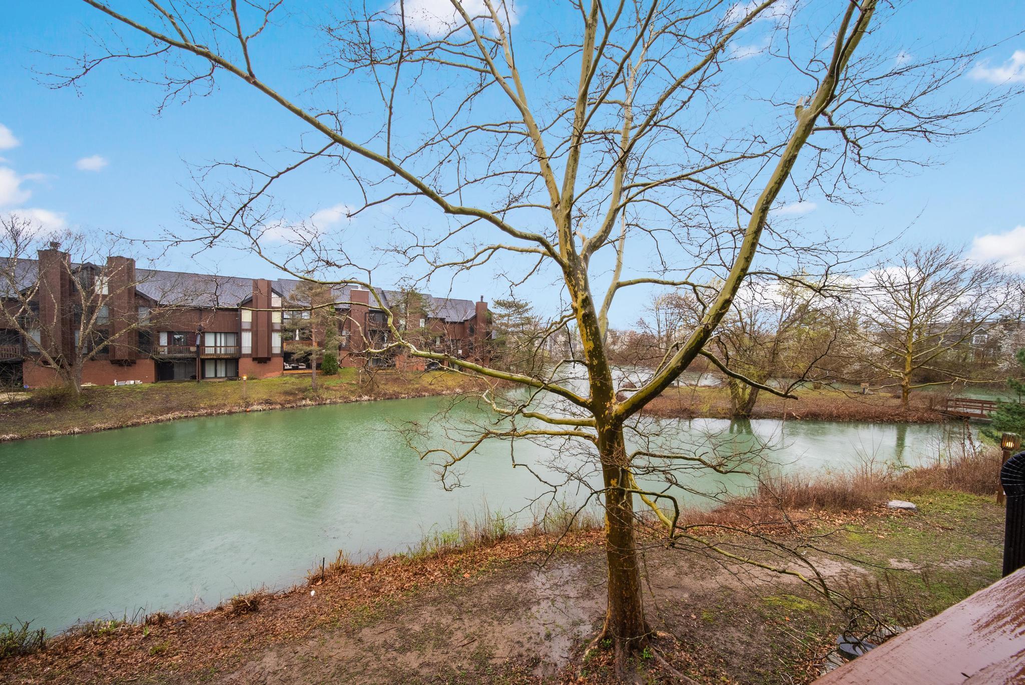 4775 Smoketalk Lane, 8