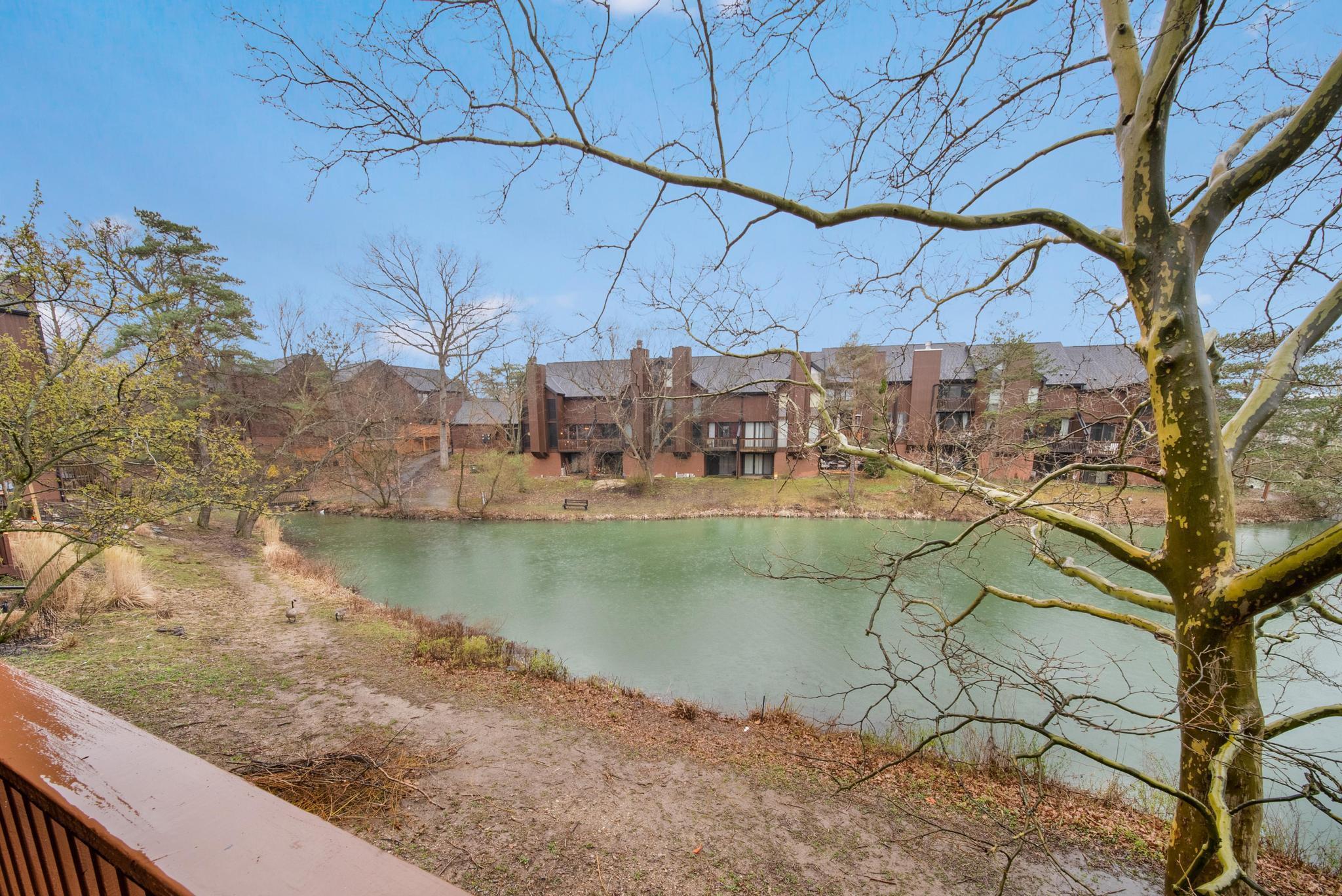 4775 Smoketalk Lane, 8