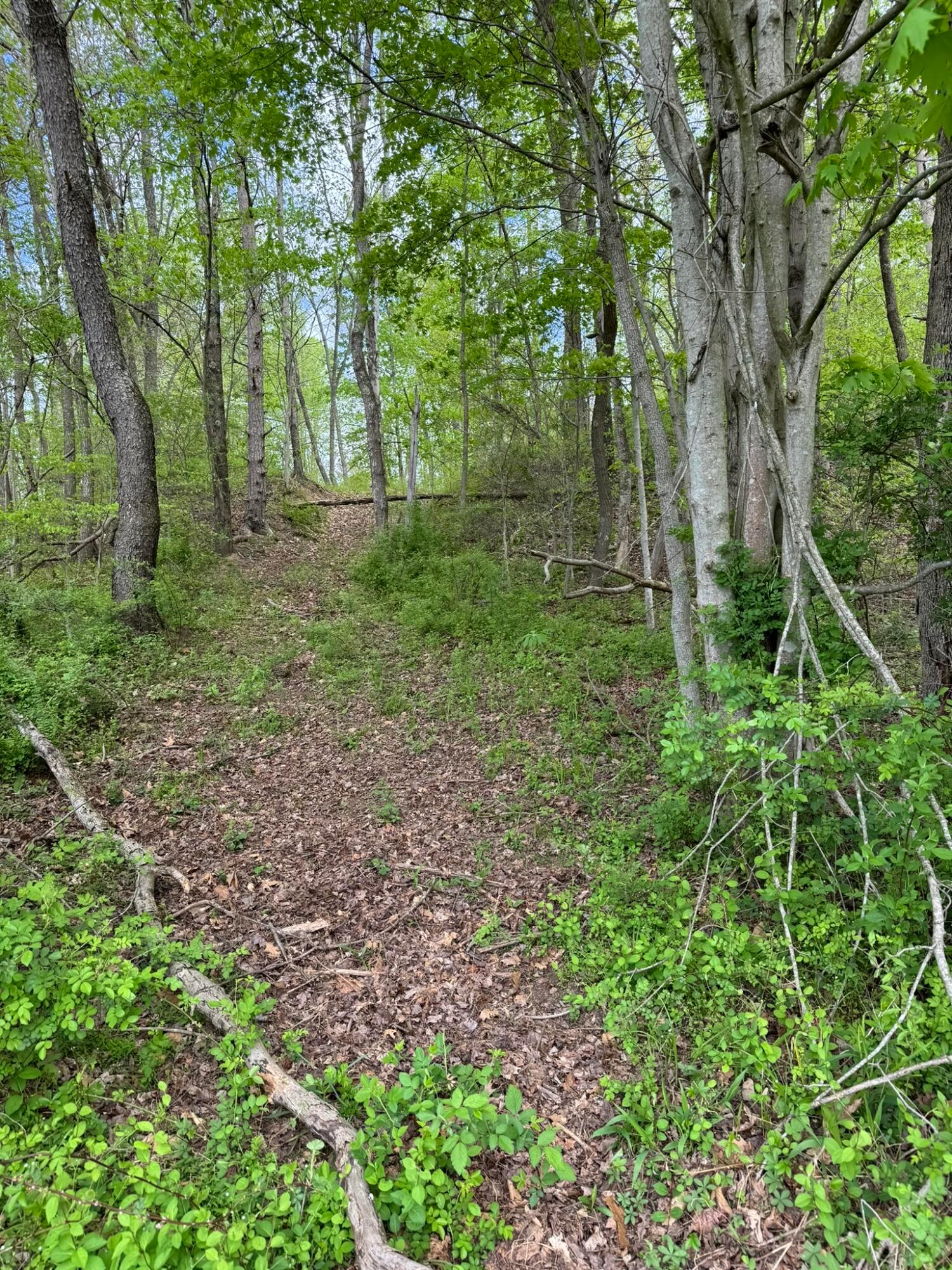 5051 Stone Church Hollow Road