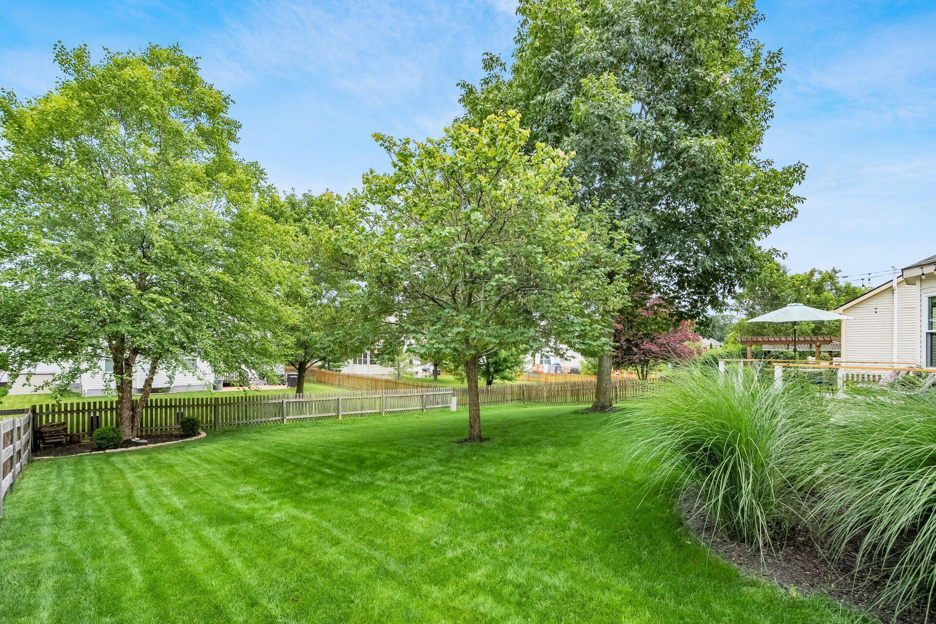 376 Abbotsbury Drive