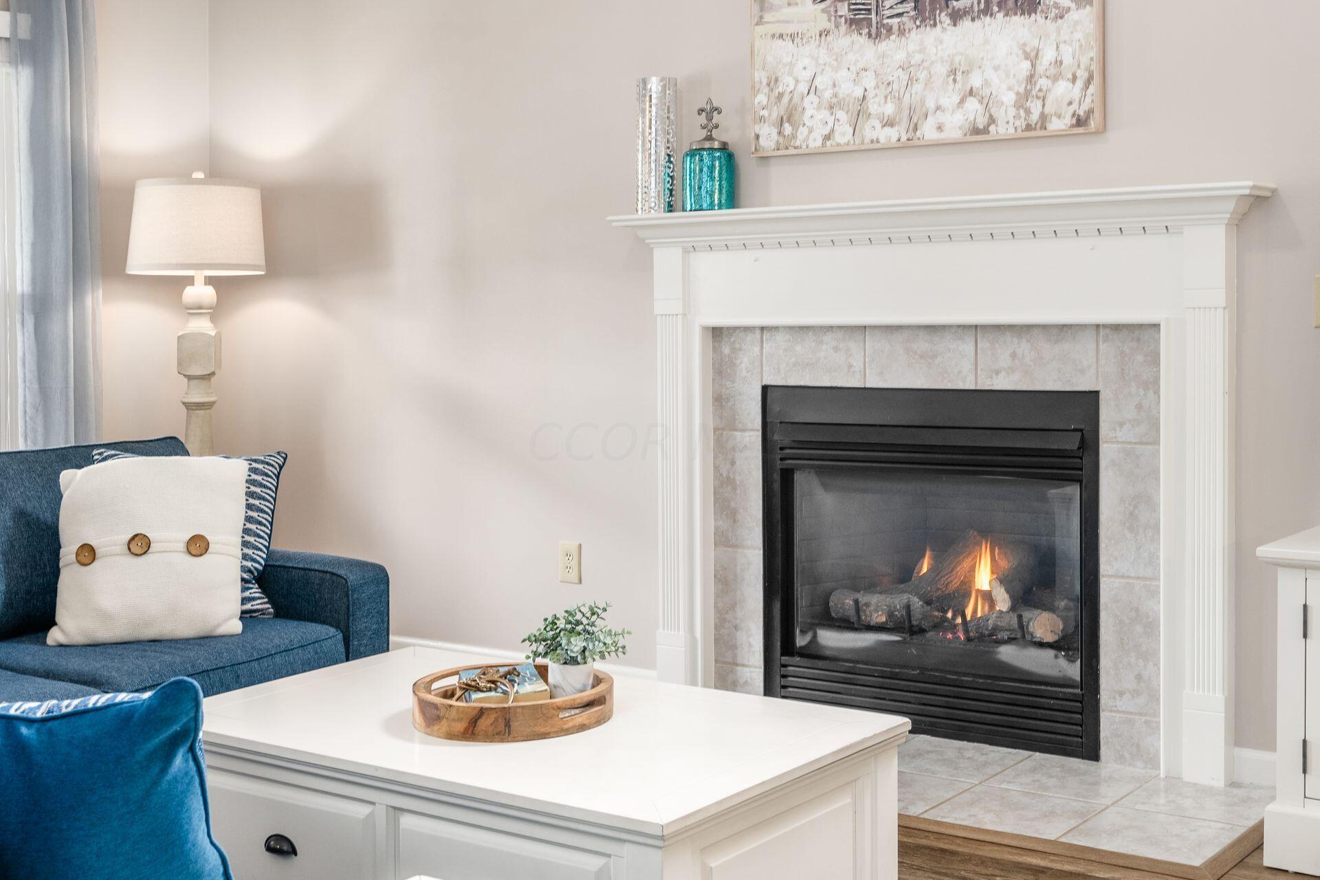 376 Abbotsbury Drive