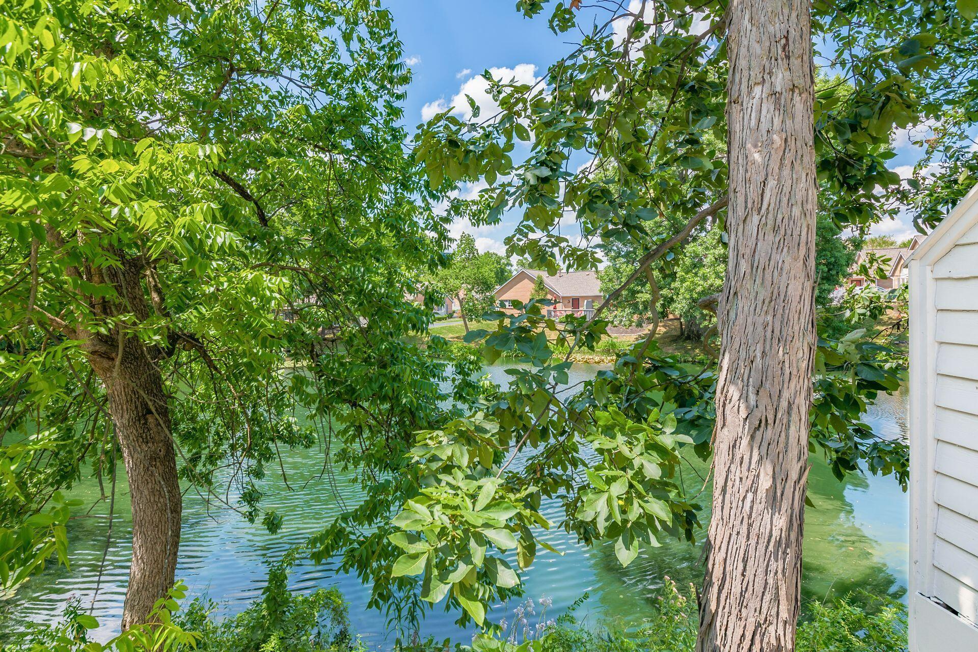 4987 Blendon Pond Drive