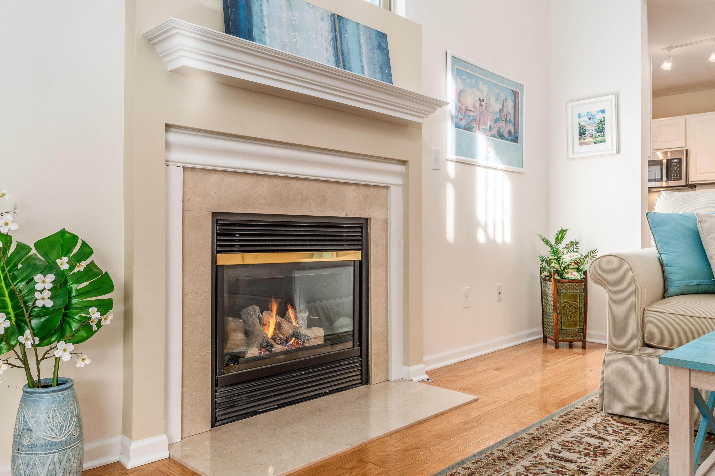 557 Village Green Loop