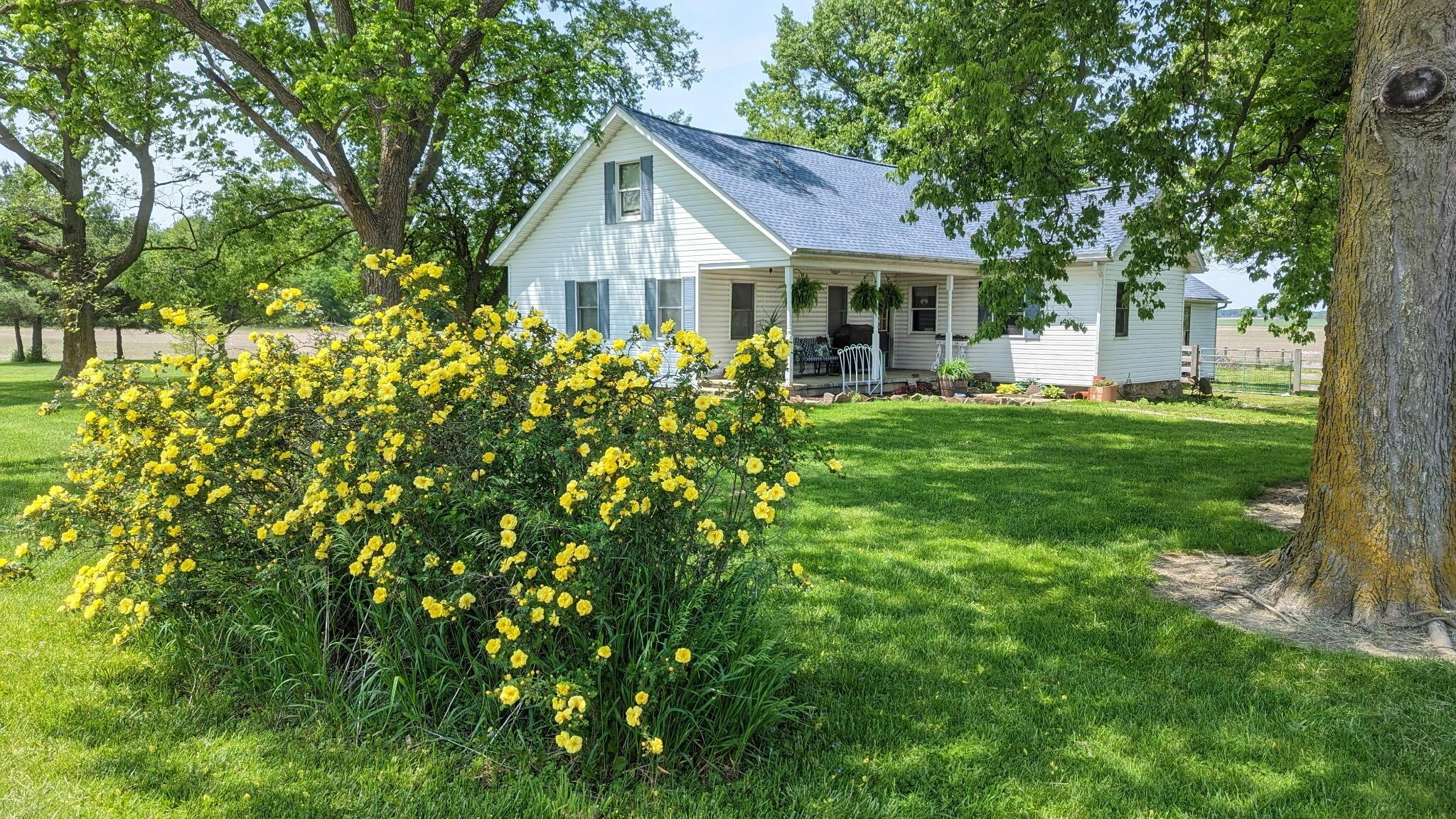 4169 State Route 521