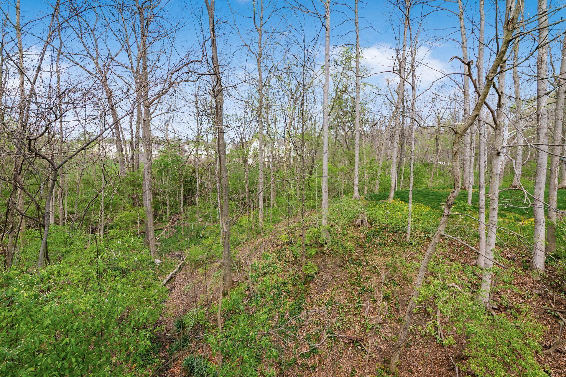 582 Westbury Woods Court