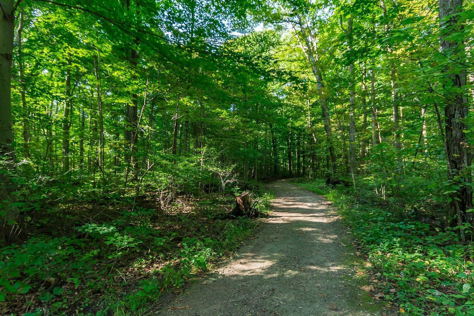 582 Westbury Woods Court