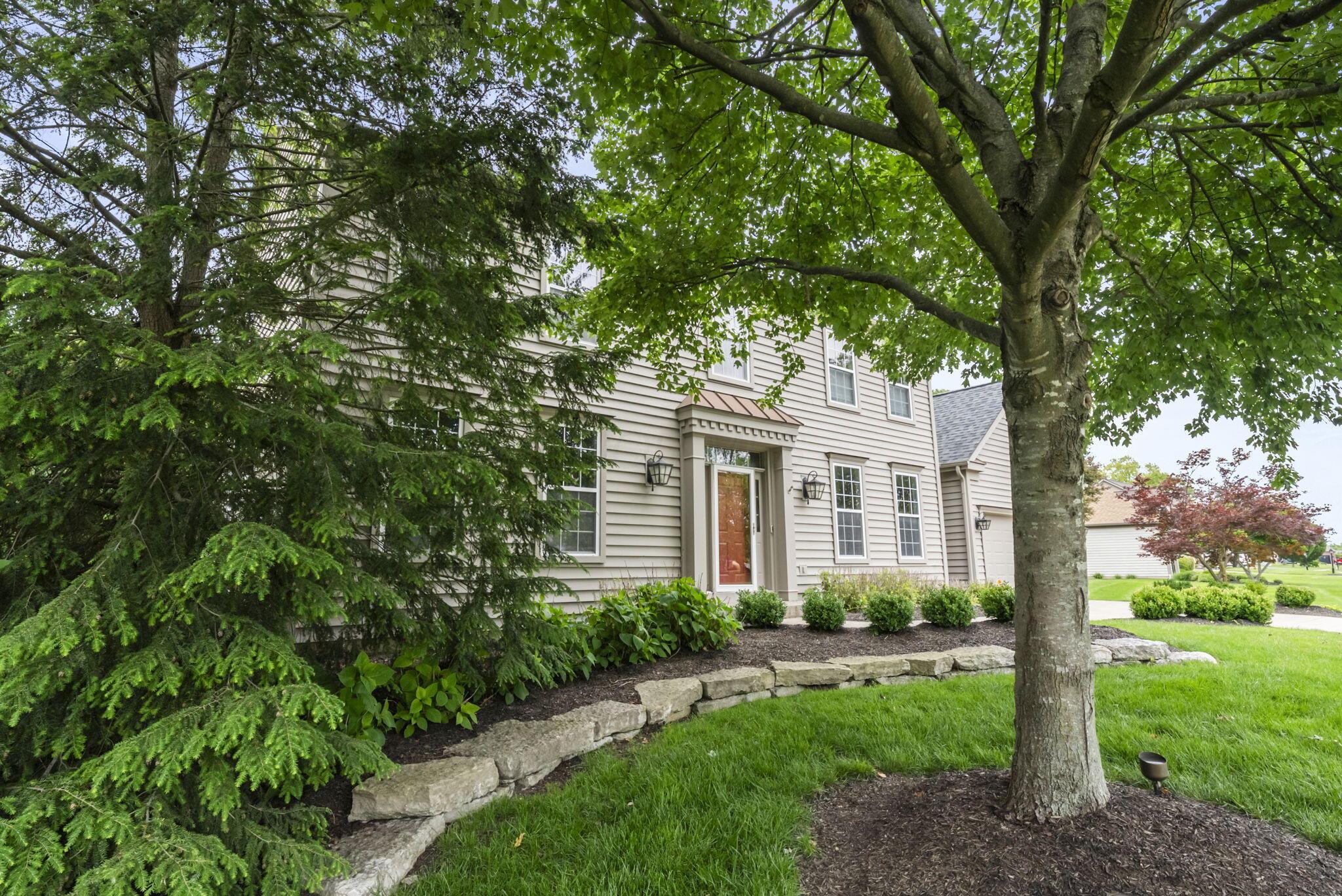 447 Ridge View Place