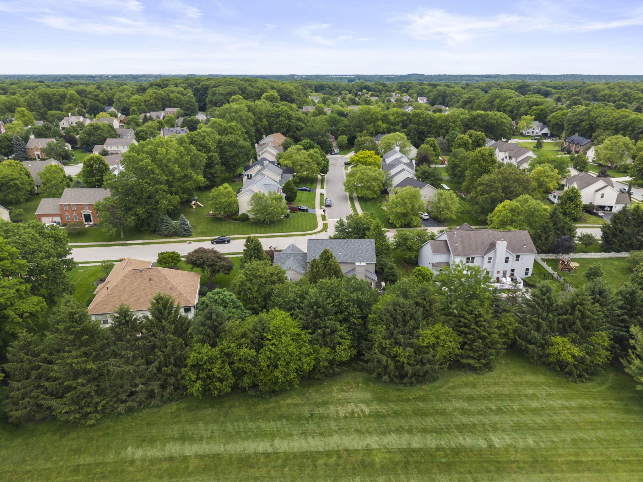 447 Ridge View Place