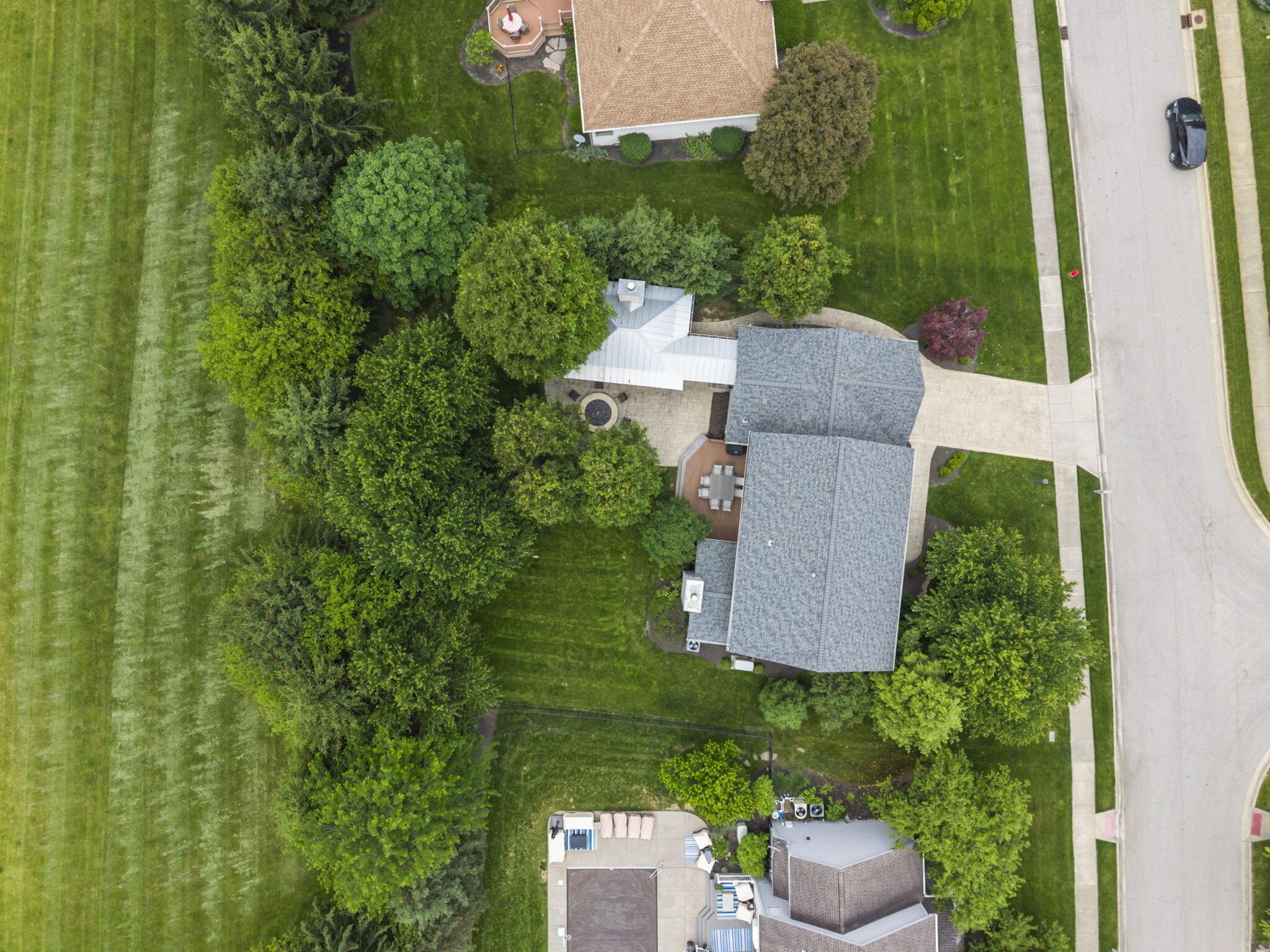447 Ridge View Place