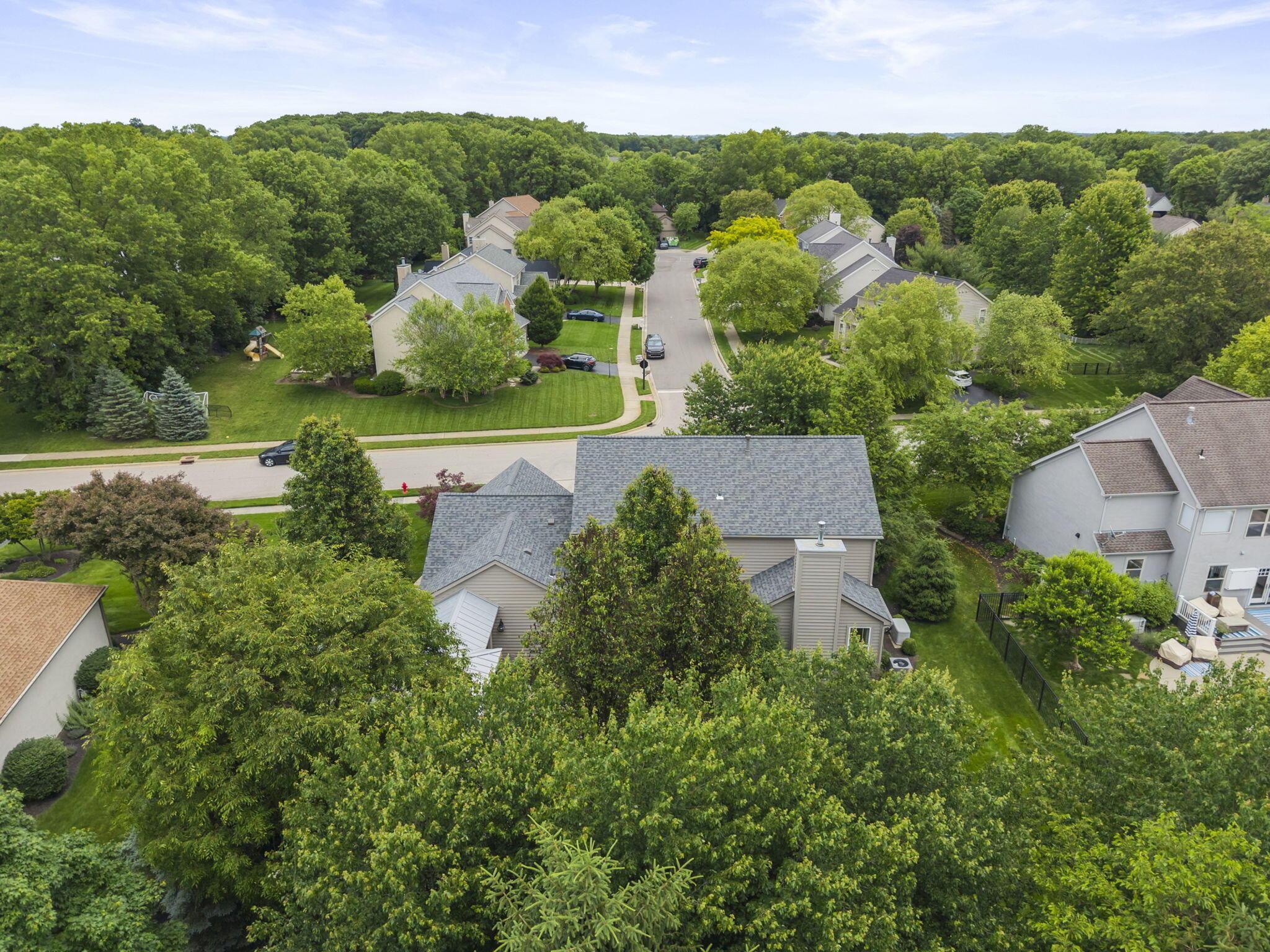 447 Ridge View Place