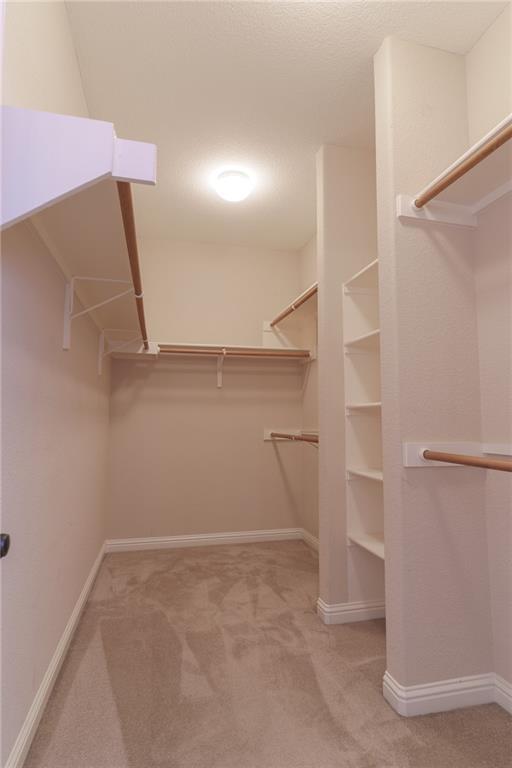 1411 River Birch WAY