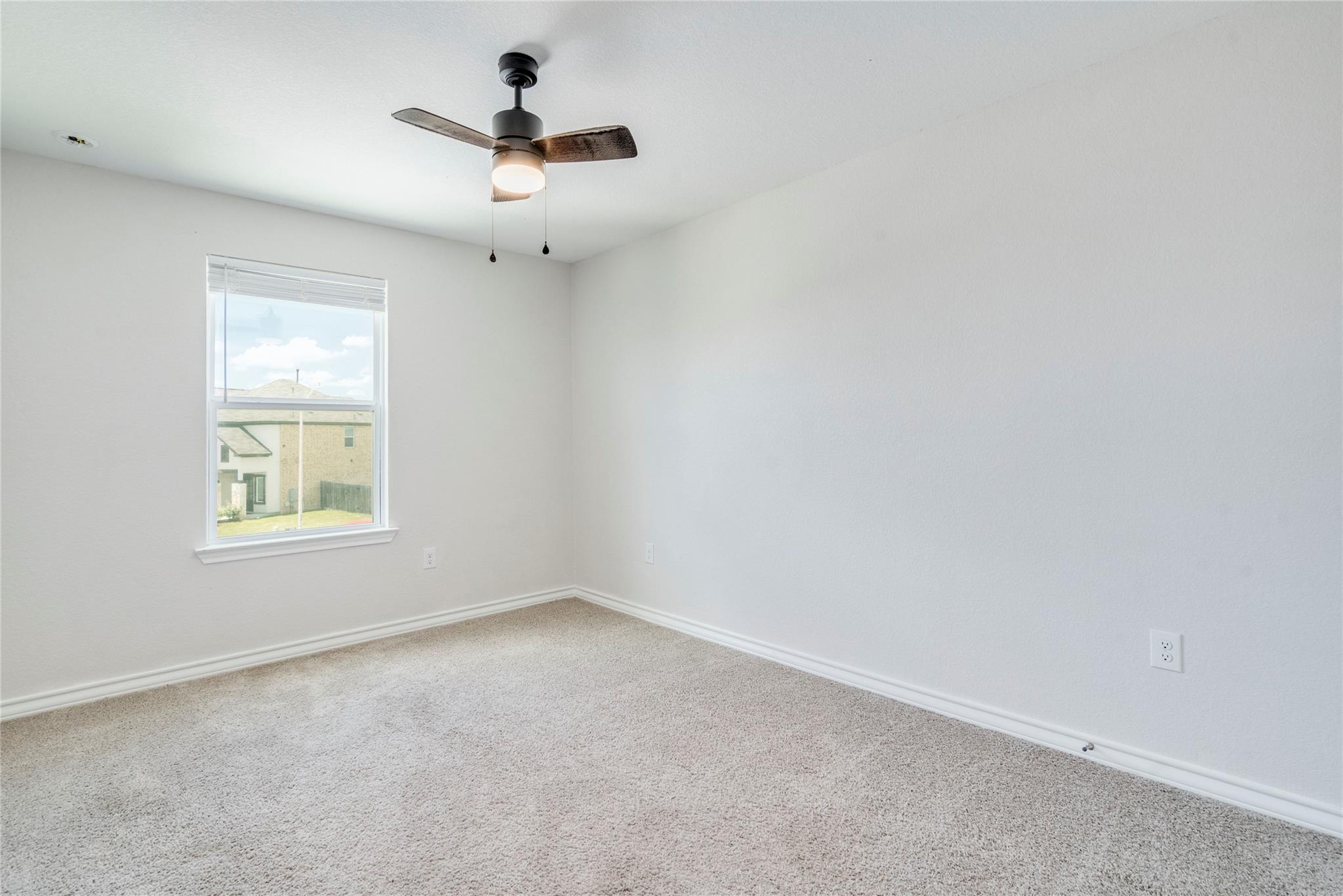 572 Pepperbark LOOP