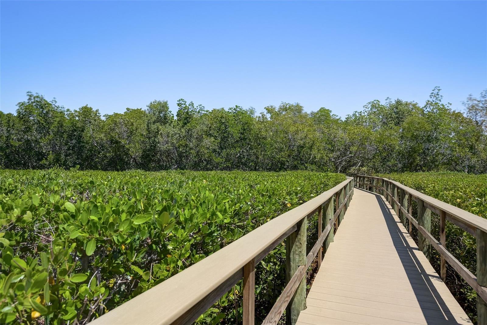 2715 TERRA CEIA BAY BLVD #605