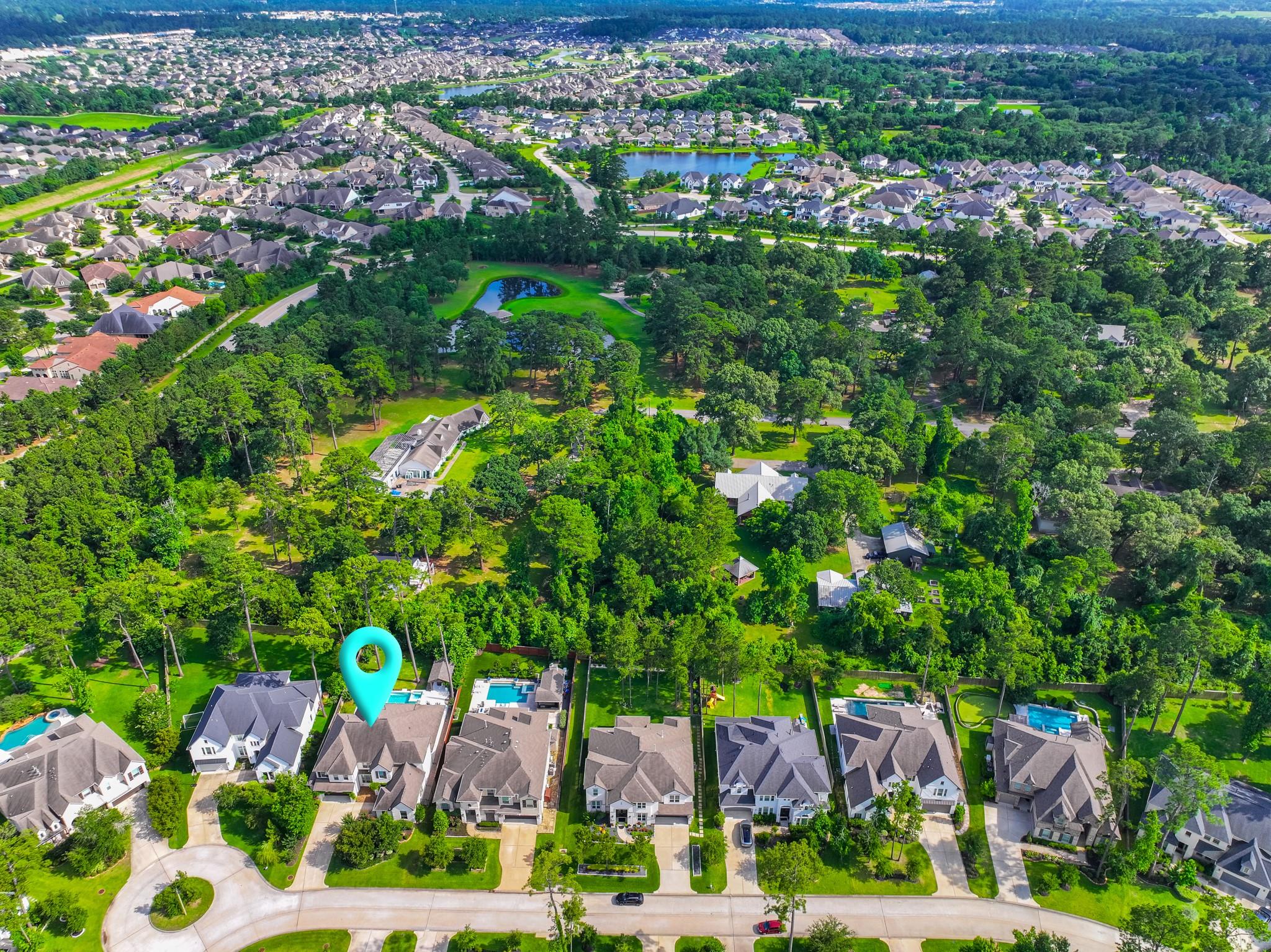 79 Blue Norther Drive