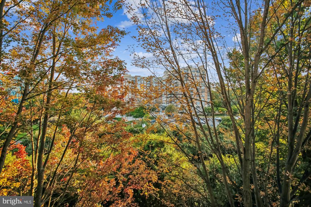 1855 STRATFORD PARK PLACE 312