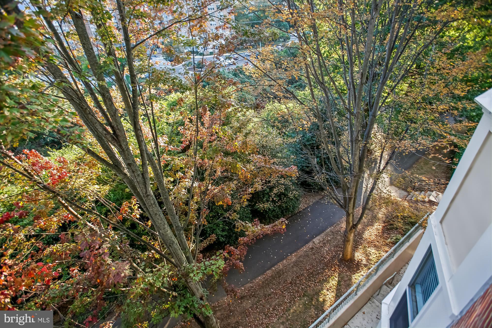 1855 STRATFORD PARK PLACE 312