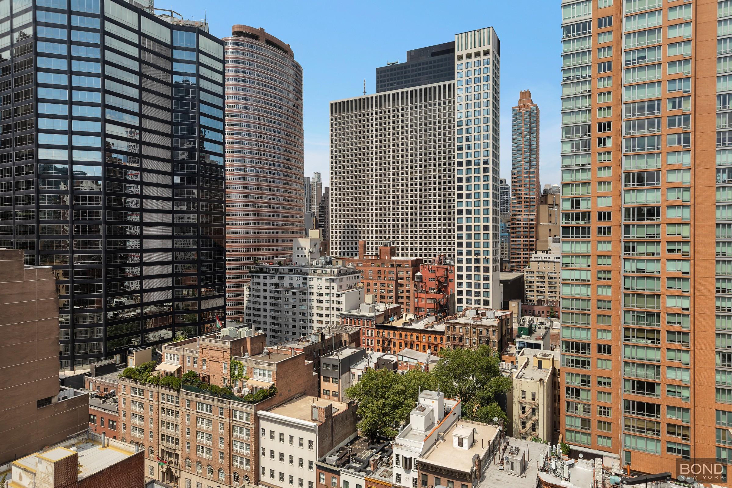 251 E 51st Street 19N