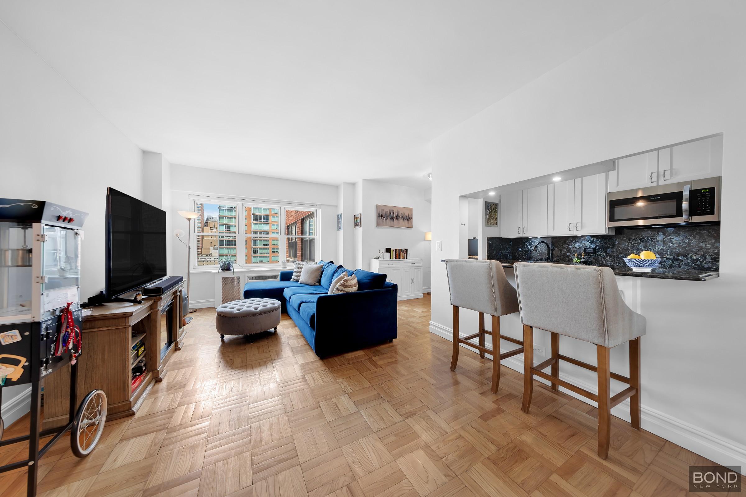 251 E 51st Street 19N