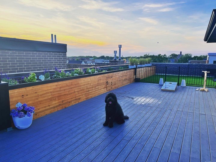 1543 W Diversey Parkway Unit: 3