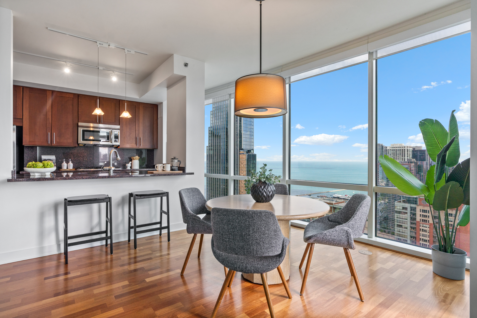 505 N McClurg Court Unit: 4605