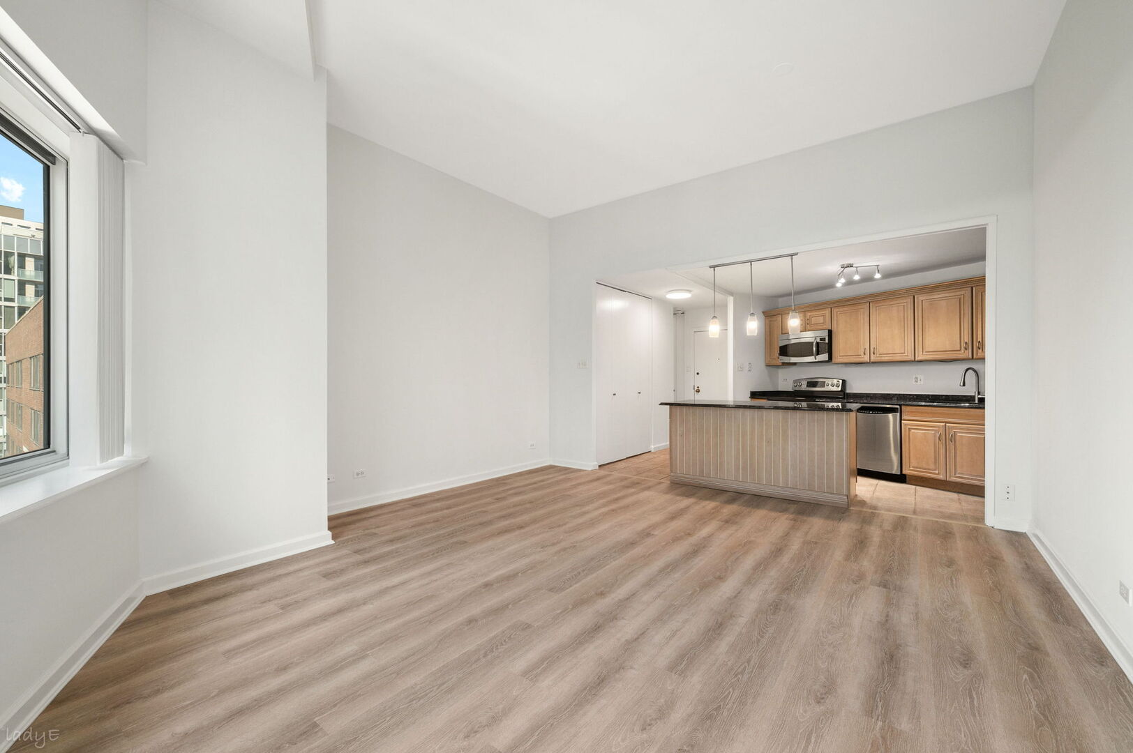 211 E Ohio Street Unit: 2915